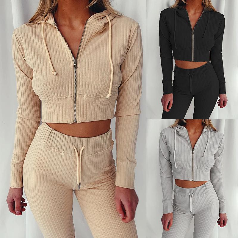 Two Piece Set Long Sleeve Crop Top Turtleneck And Pants