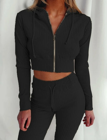 Two Piece Set Long Sleeve Crop Top Turtleneck And Pants